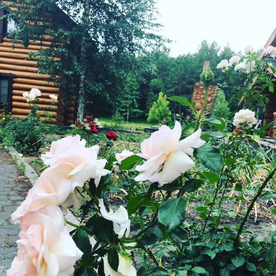 Gostynna Sadyba Kit Bayun Teterivka Esterno foto