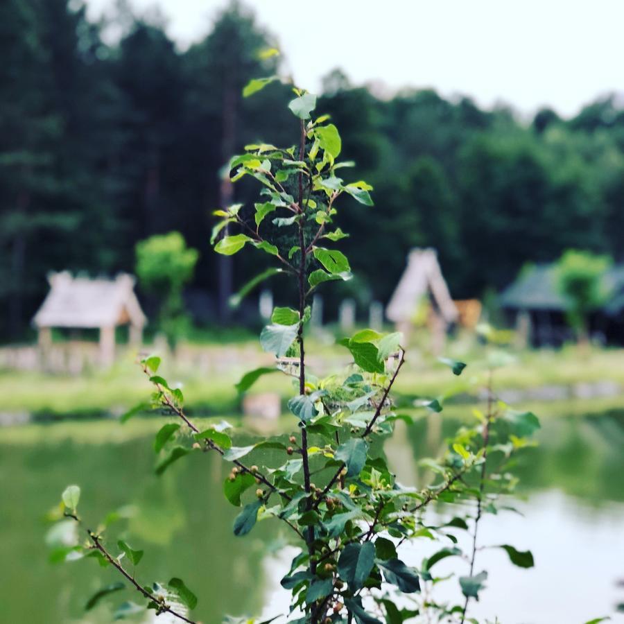 Gostynna Sadyba Kit Bayun Teterivka Esterno foto